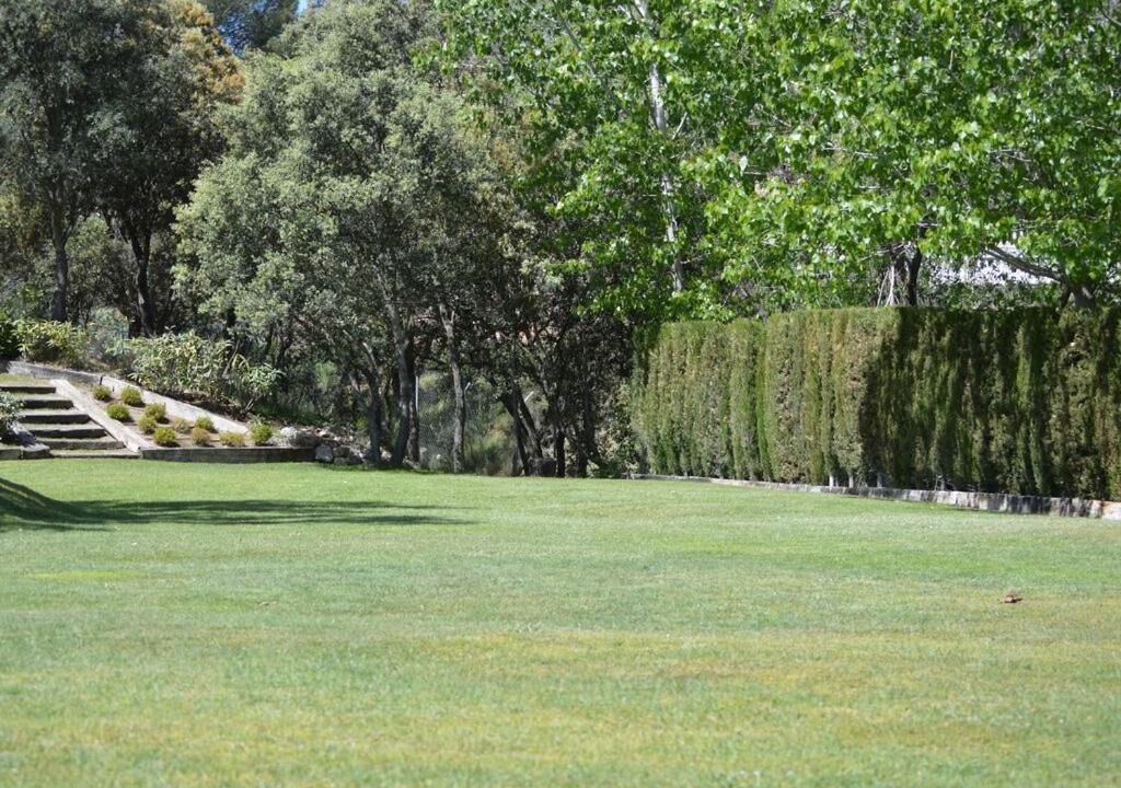 Photo of Outdoor in Sevilla la Nueva