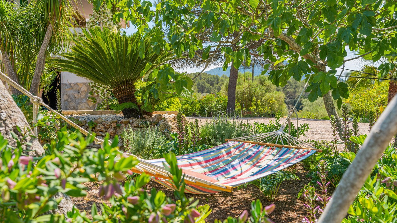 Photo of Outdoor in Algaida
