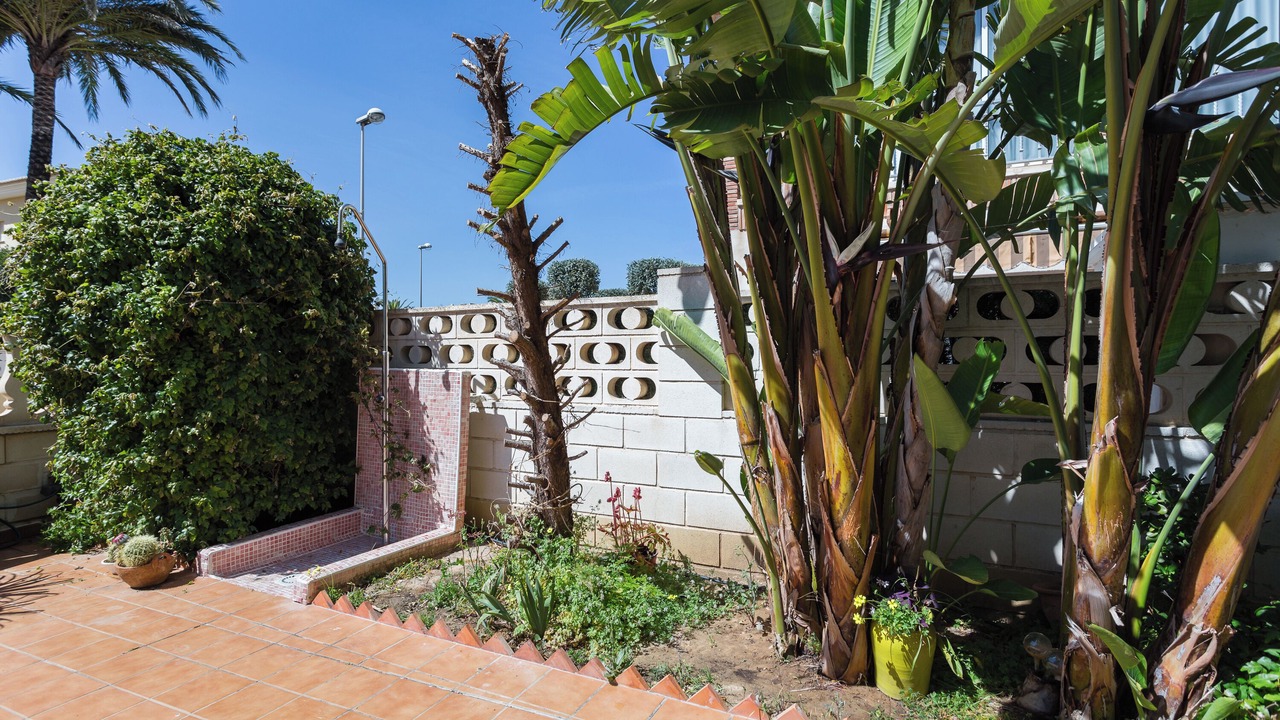 Photo of Outdoor in Oliva