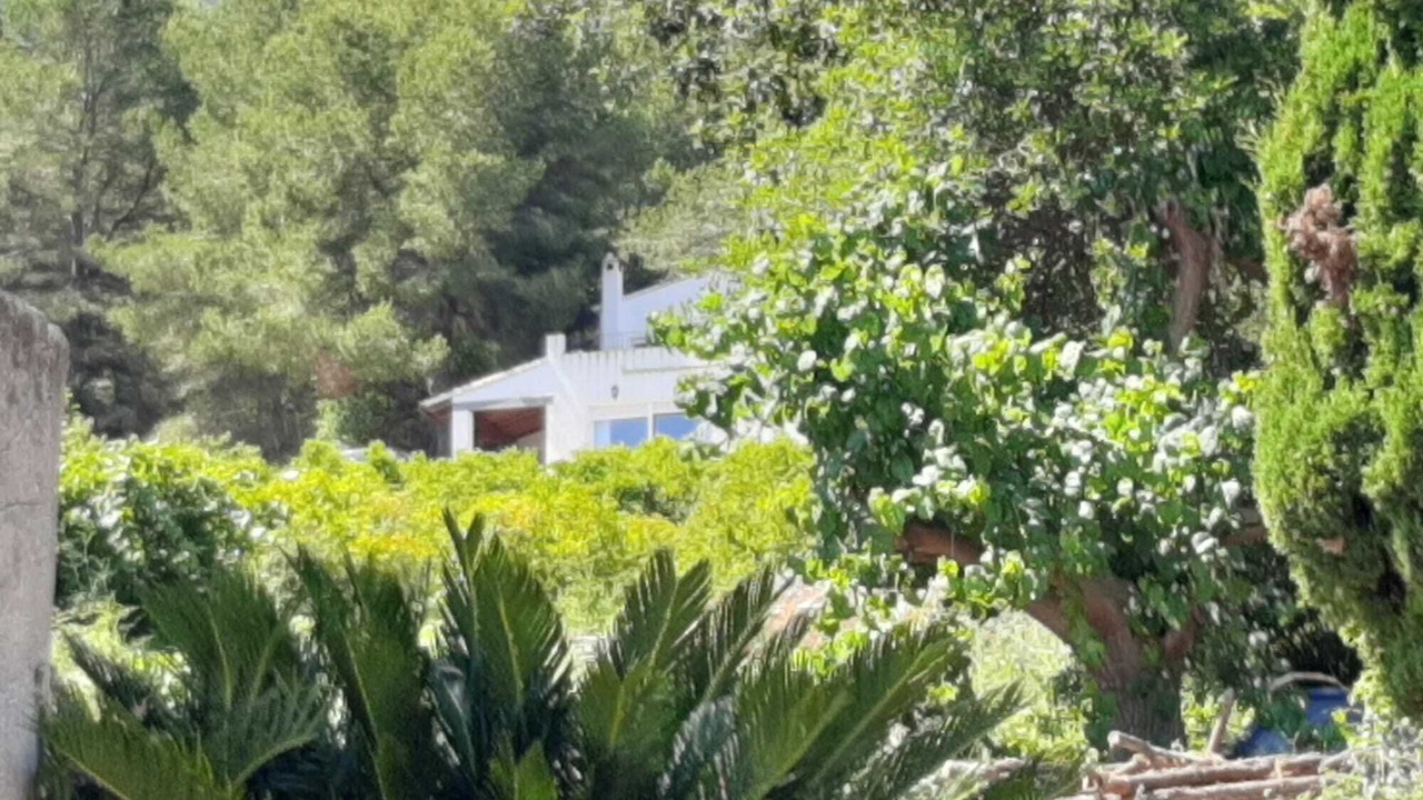 Photo of Outdoor in Rafol de Almunia