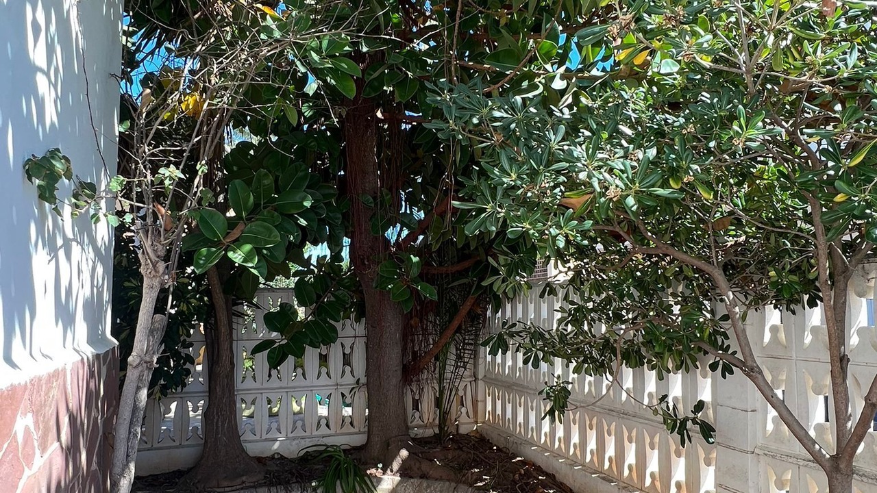 Photo of Outdoor in El Grau de Moncofa