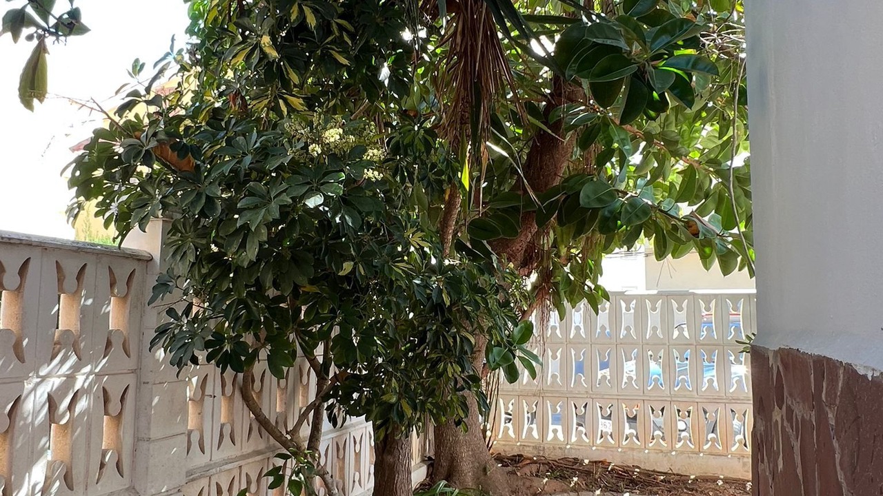 Photo of Outdoor in El Grau de Moncofa