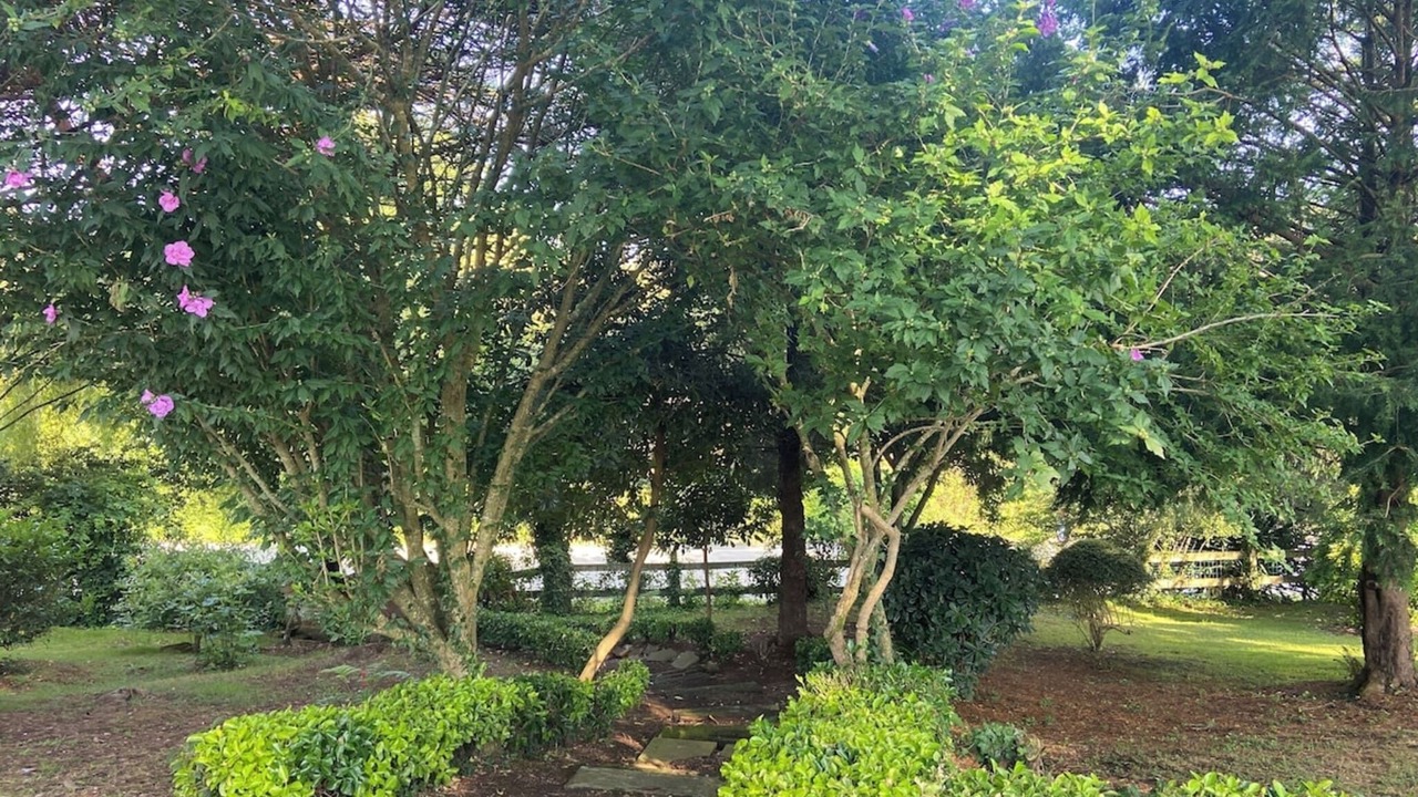 Photo of Outdoor in Tonanes