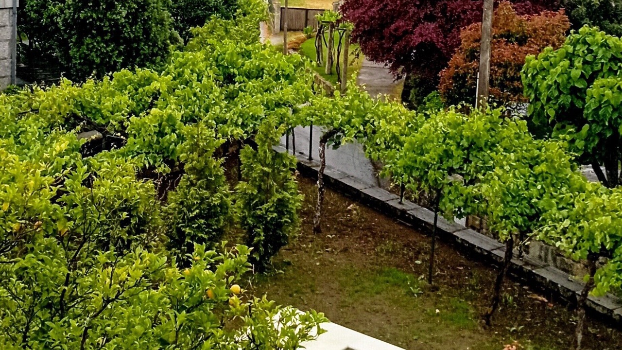 Photo of Outdoor in Villasobroso