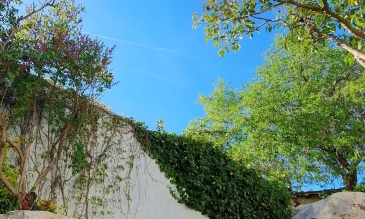Photo of Outdoor in Morata de Tajuna