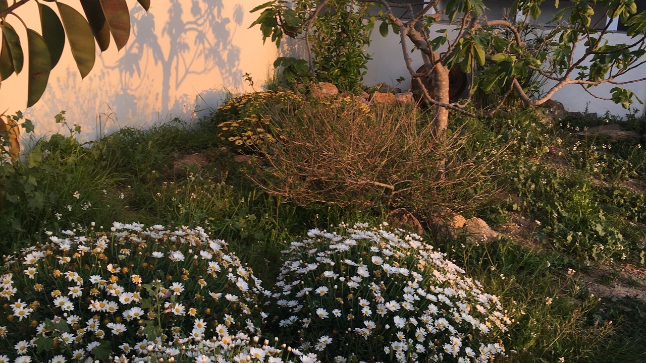Photo of Outdoor in Segart