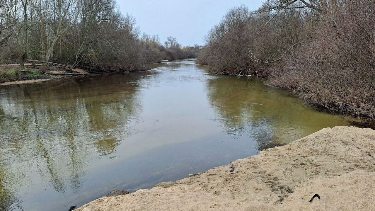 Photo of Others in Garciotum