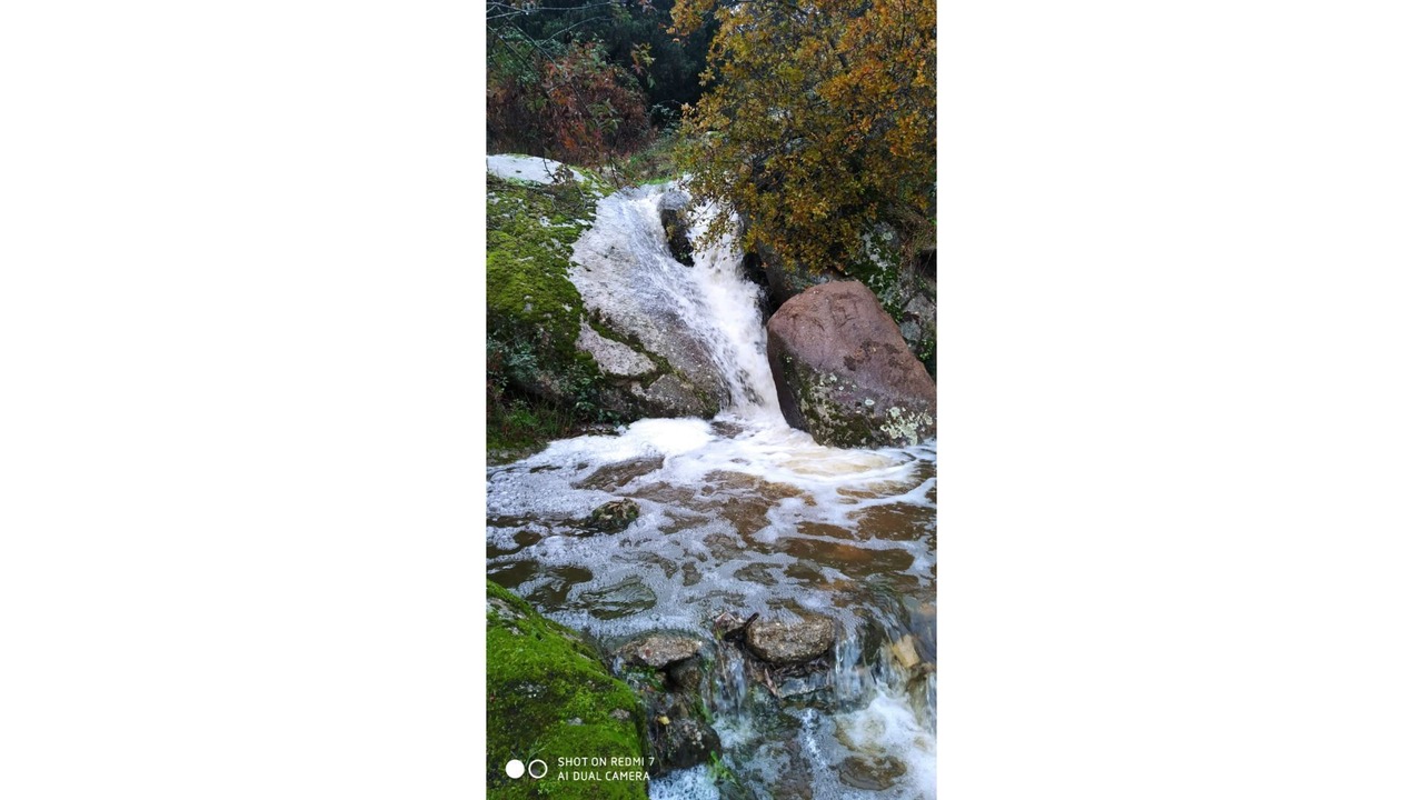 Photo of Others in Garciotum