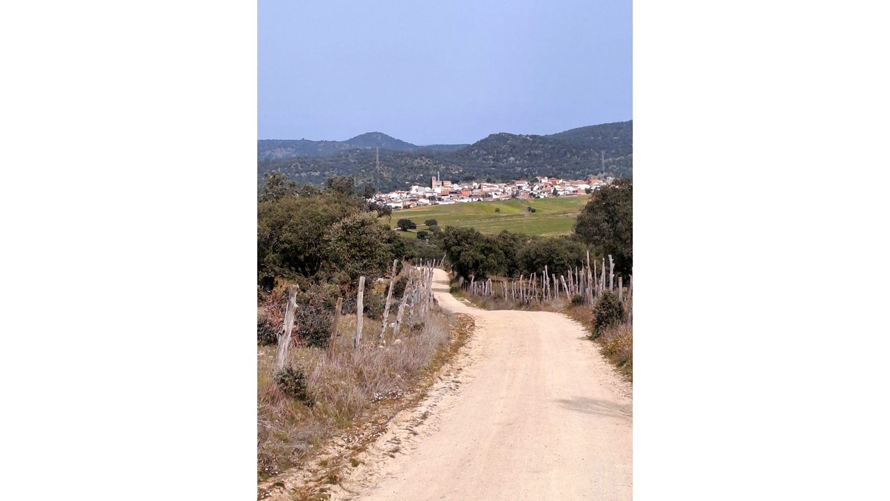 Photo of Others in Garciotum