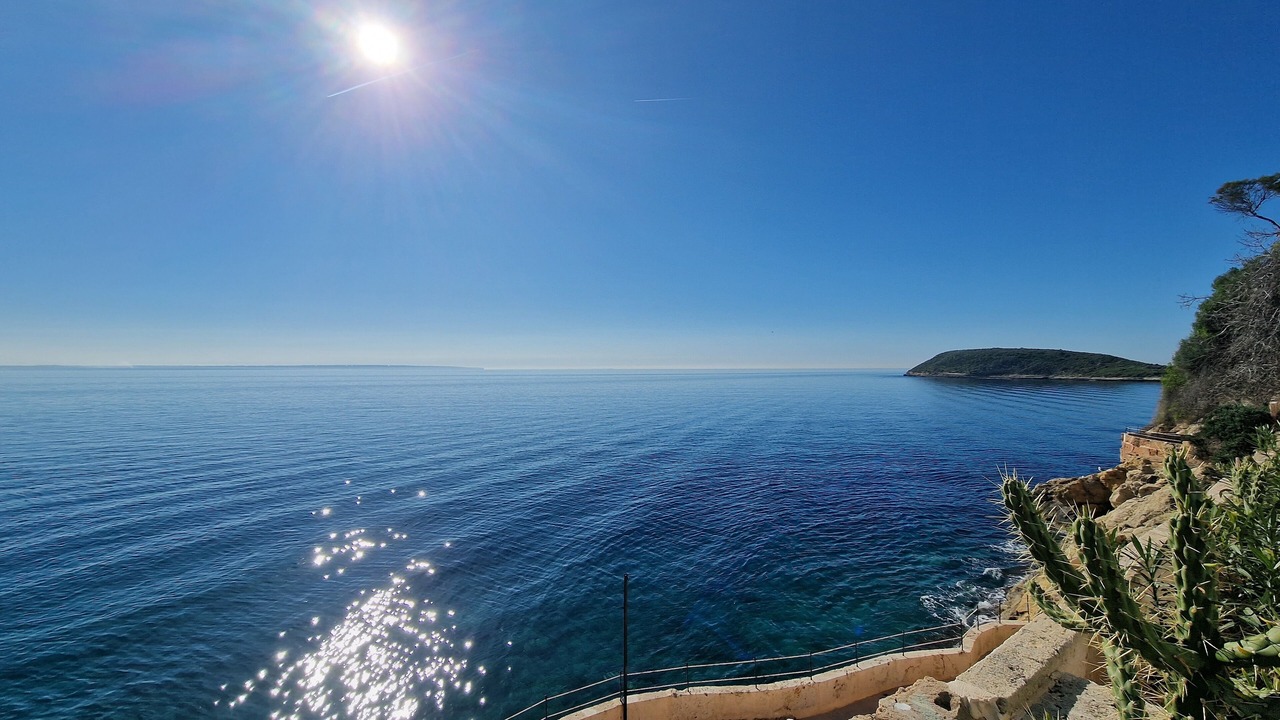 Photo of Others in Torrenova