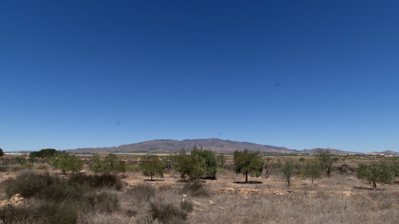 Photo of Outdoor in Fuente Alamo de Murcia