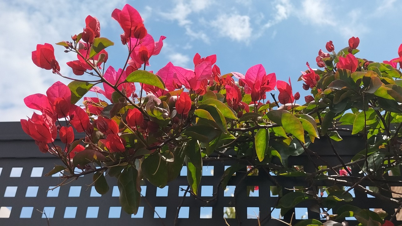 Photo of Outdoor in Aiora