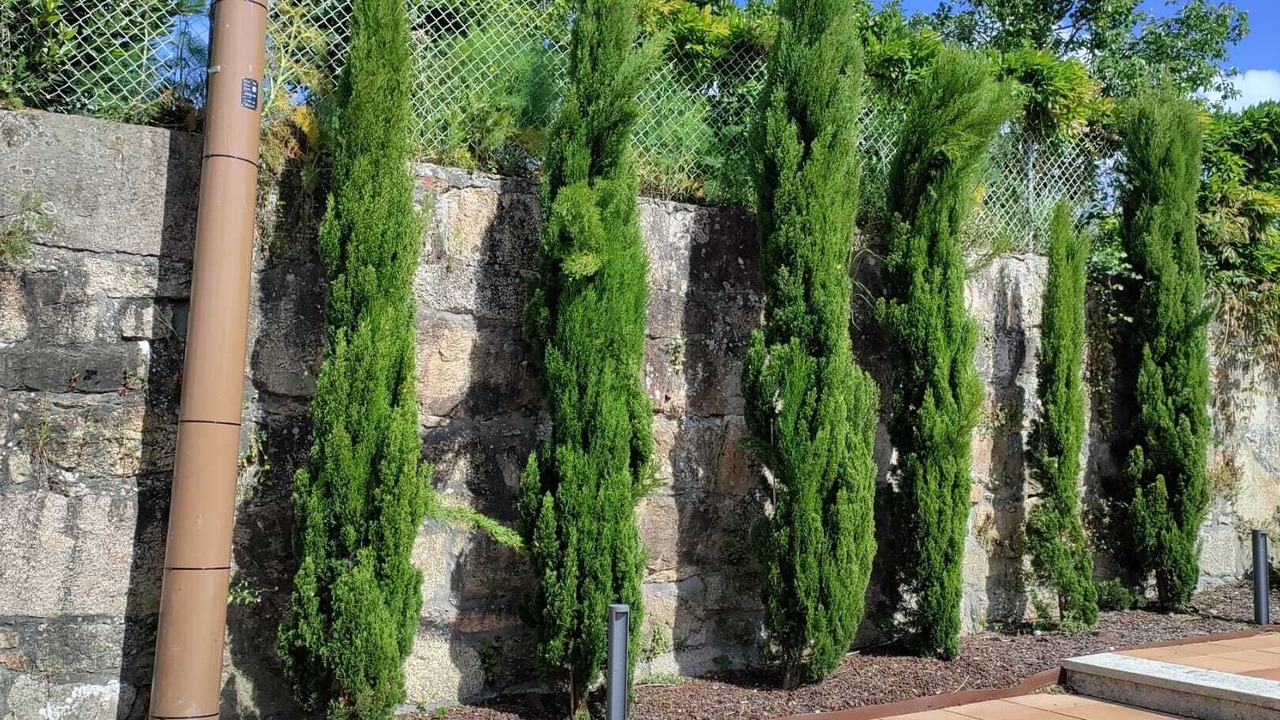 Photo of Outdoor in Coiron