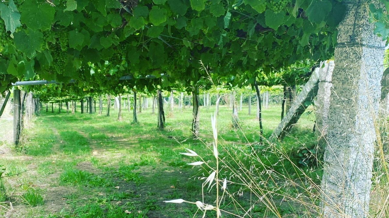 Photo of Outdoor in Coiron