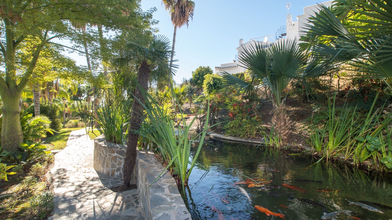 Photo of Outdoor in Oasis del Capistrano