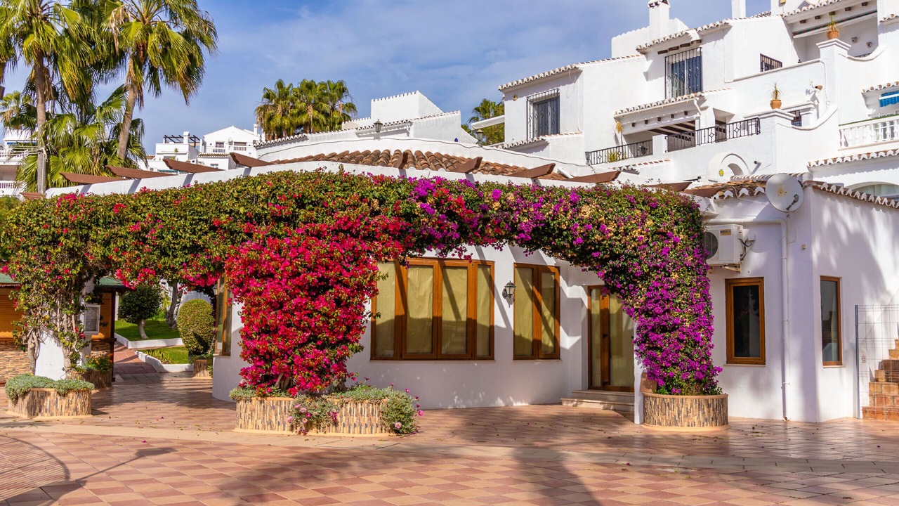 Photo of Others in Oasis del Capistrano