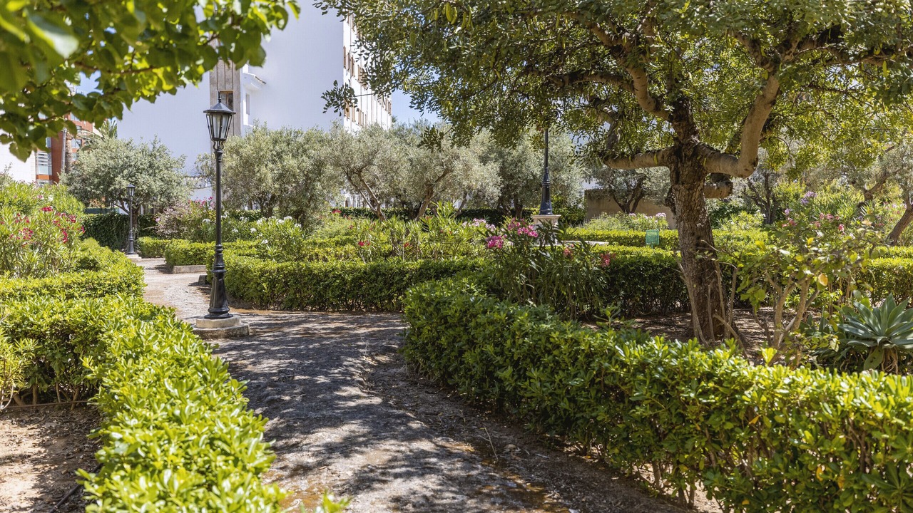 Photo of Outdoor in Aduanas