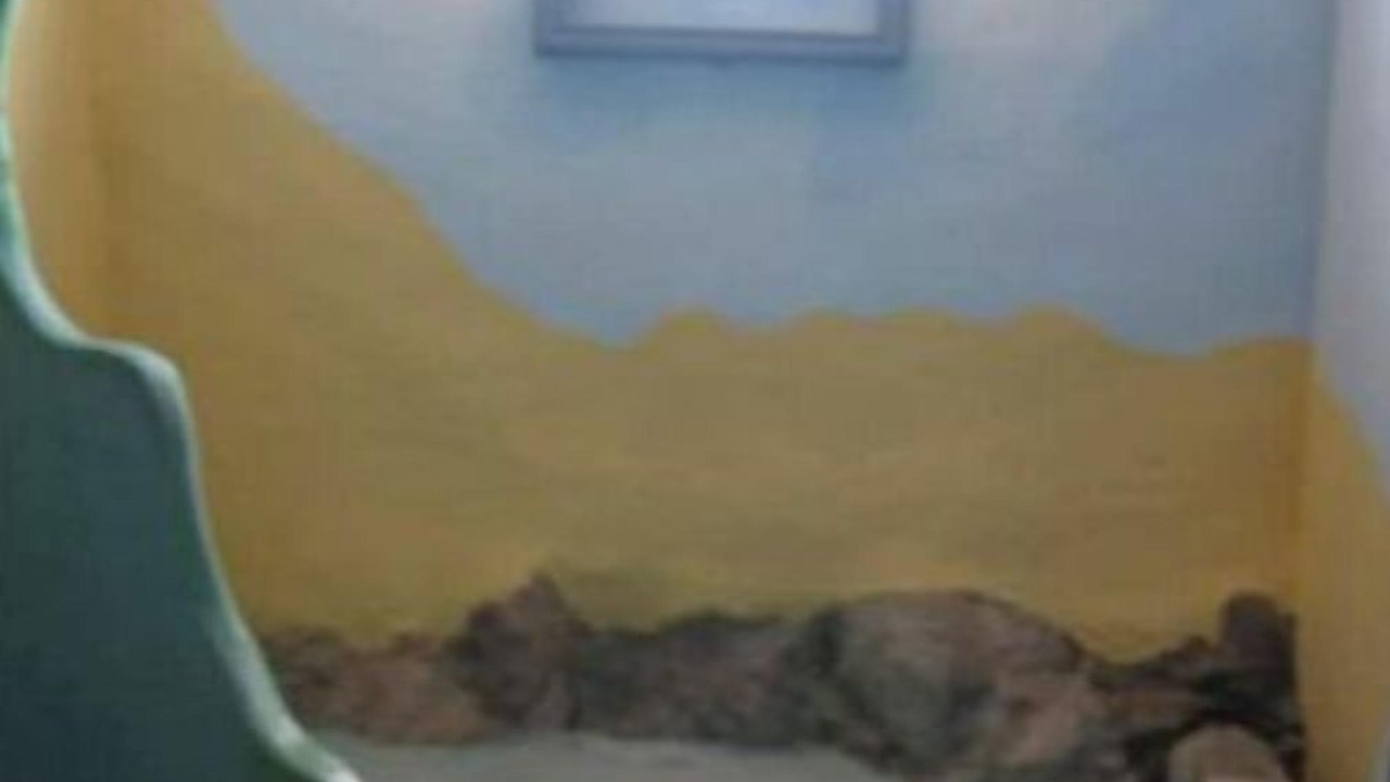 Photo of Others in Las Negras