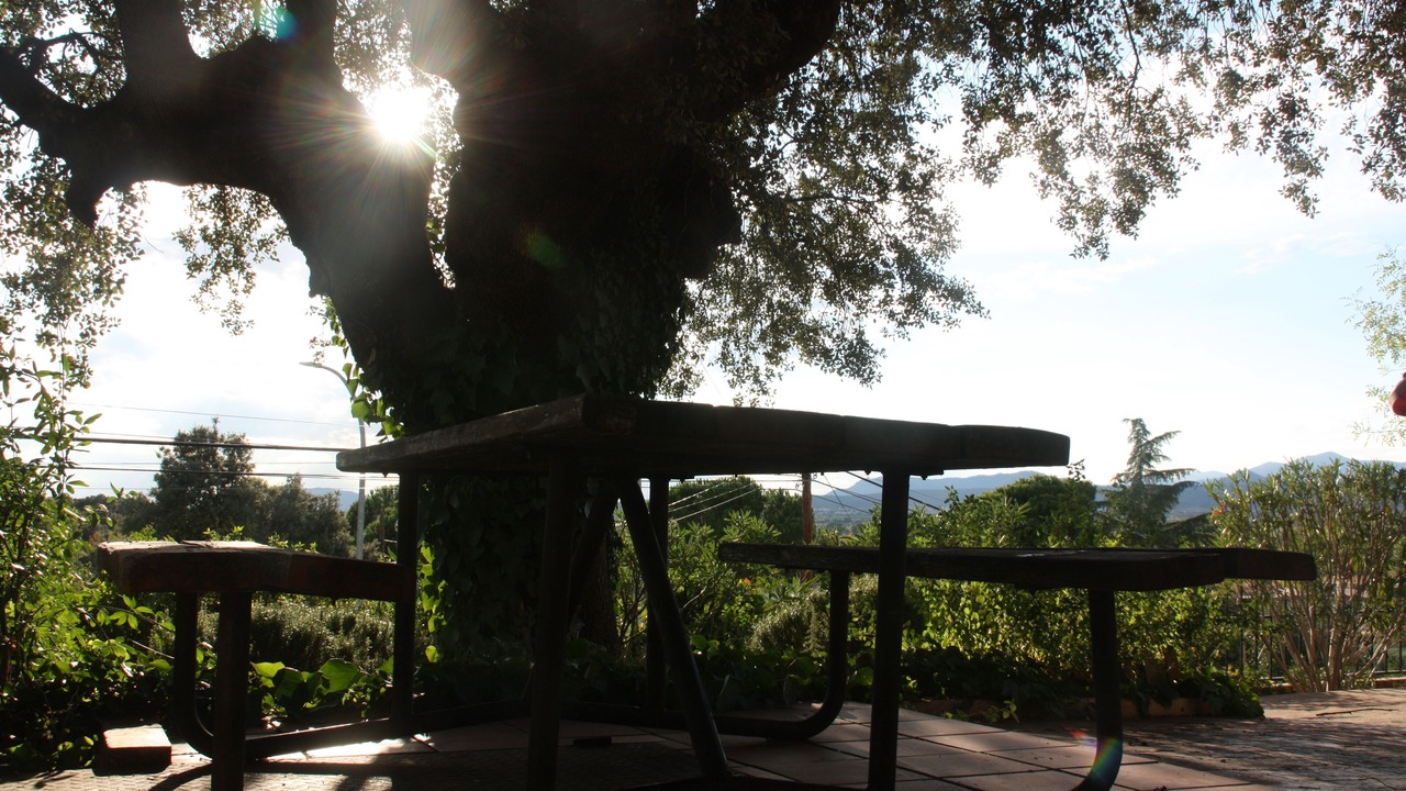 Photo of Outdoor in Santa Cruz del Retamar