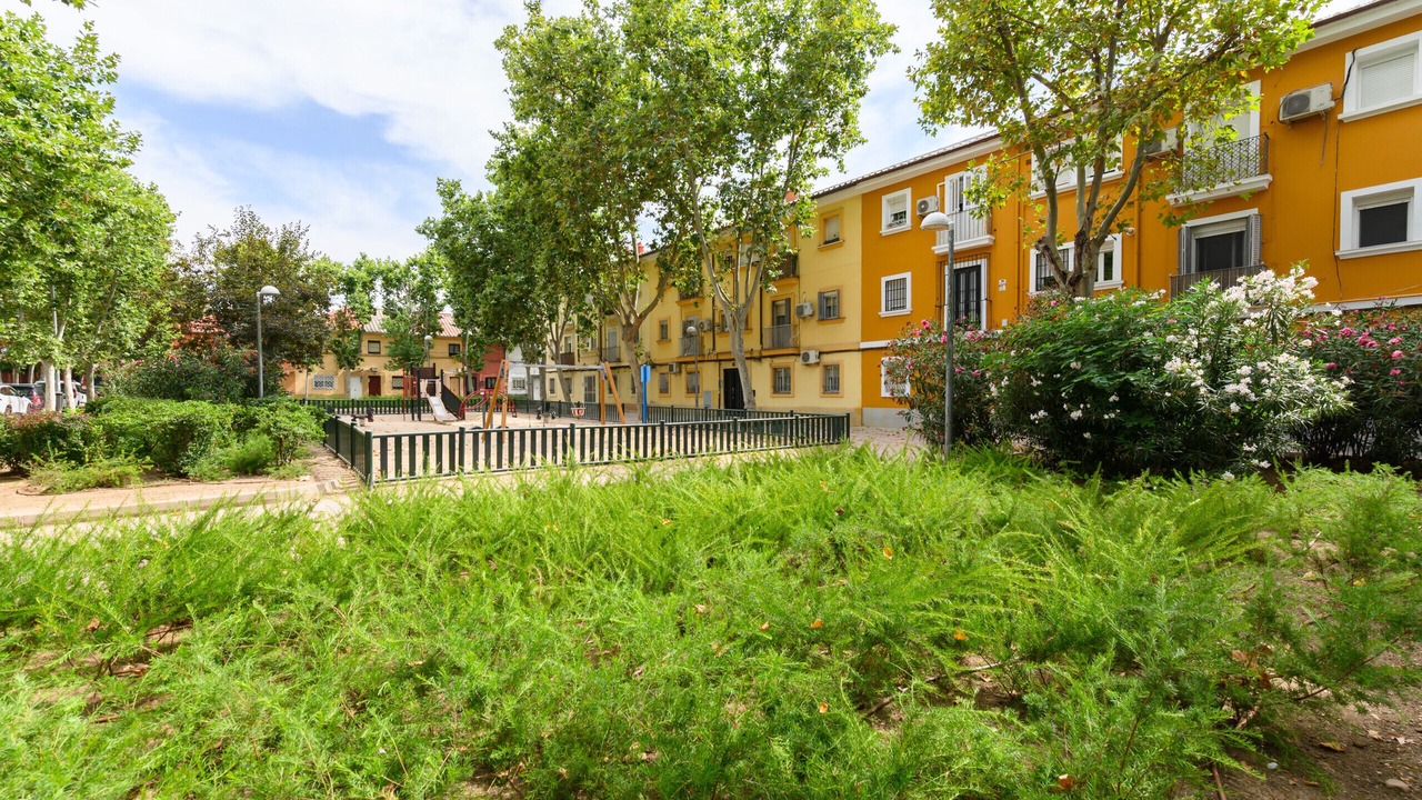 Photo of Outdoor in Quintana
