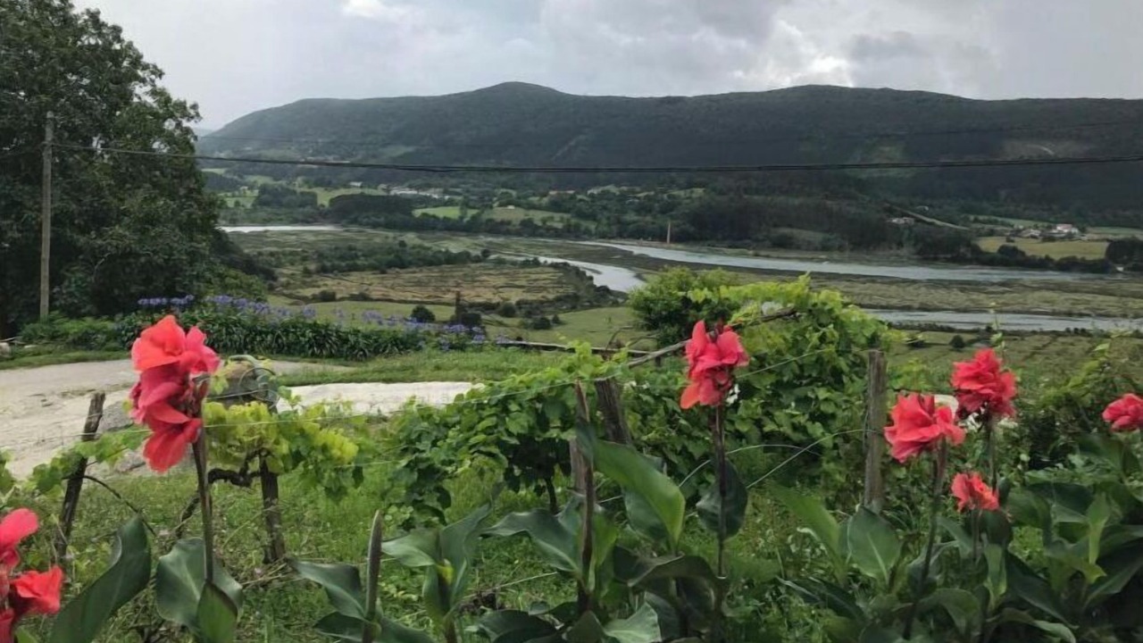 Photo of Outdoor in Gautegiz Arteaga
