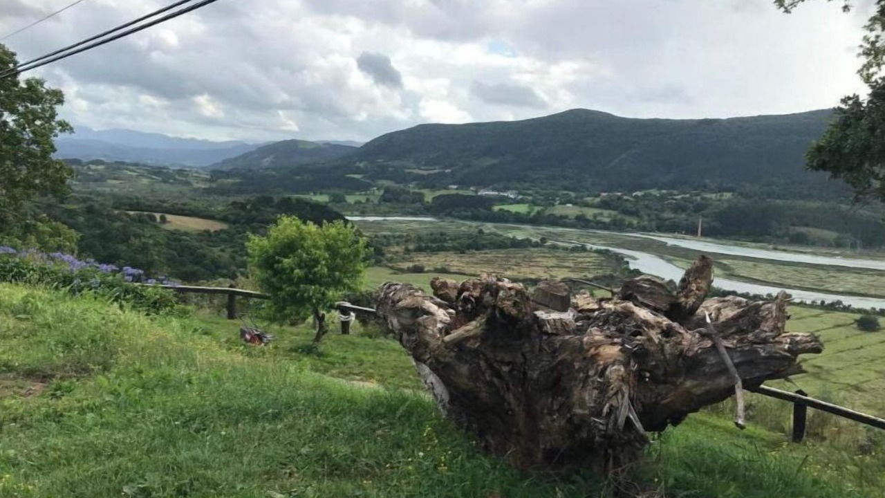 Photo of Outdoor in Gautegiz Arteaga
