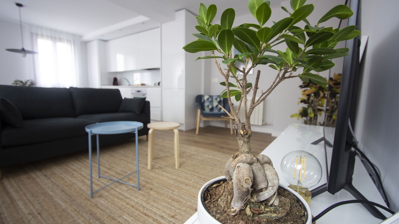 Photo of Livingroom in Burgos