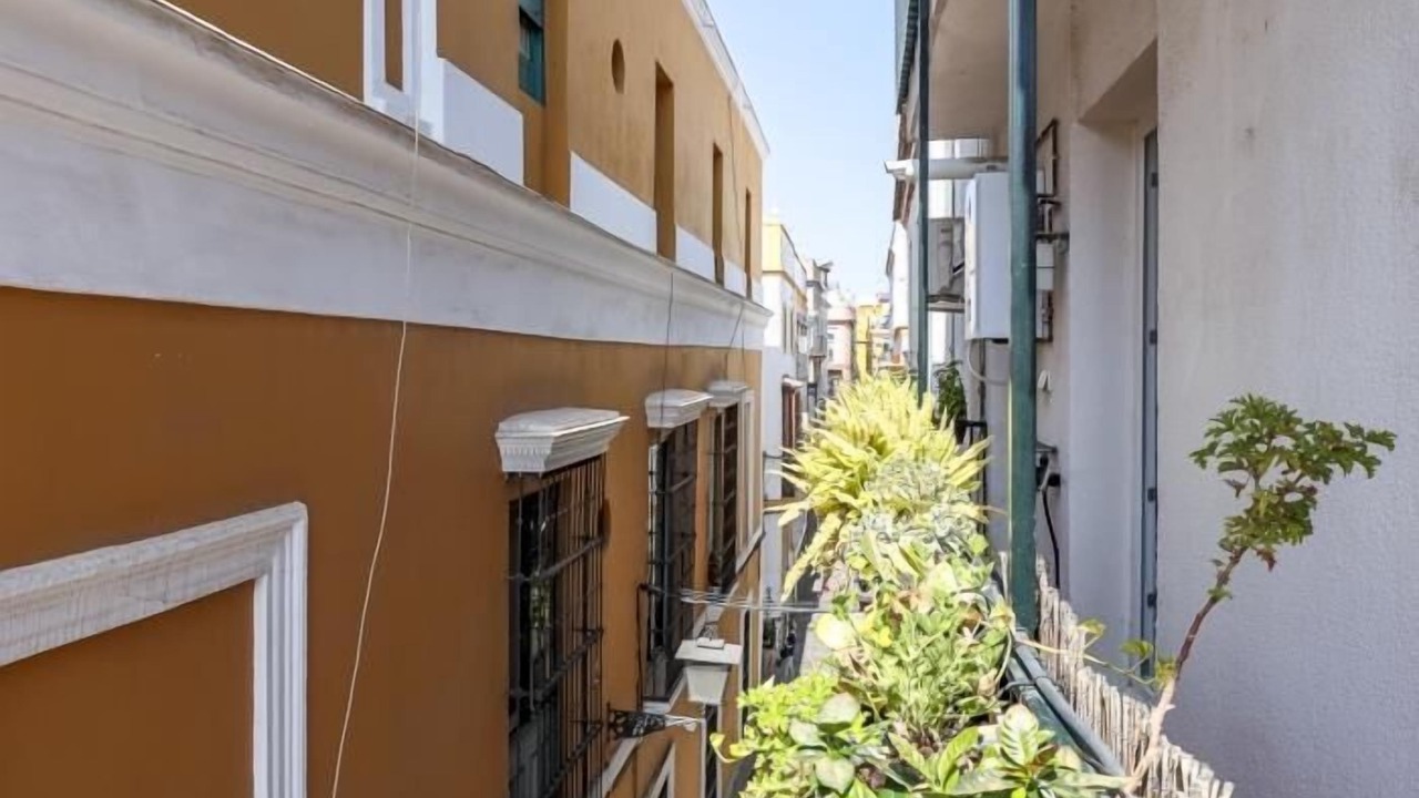 Photo of Outdoor in San Vicente