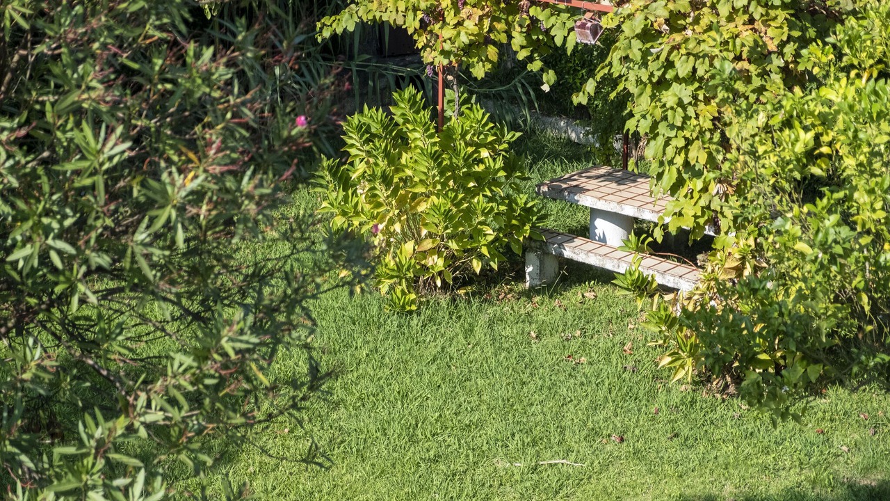 Photo of Outdoor in A Lanzada