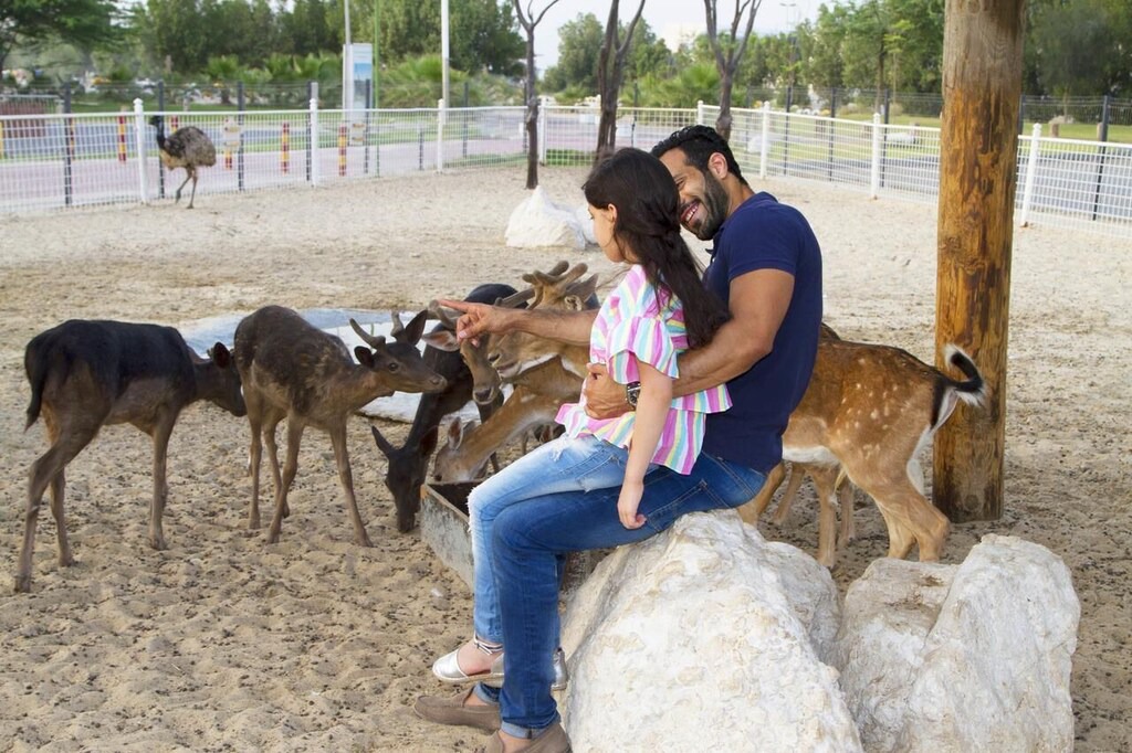 Photo of Others in Dhahran