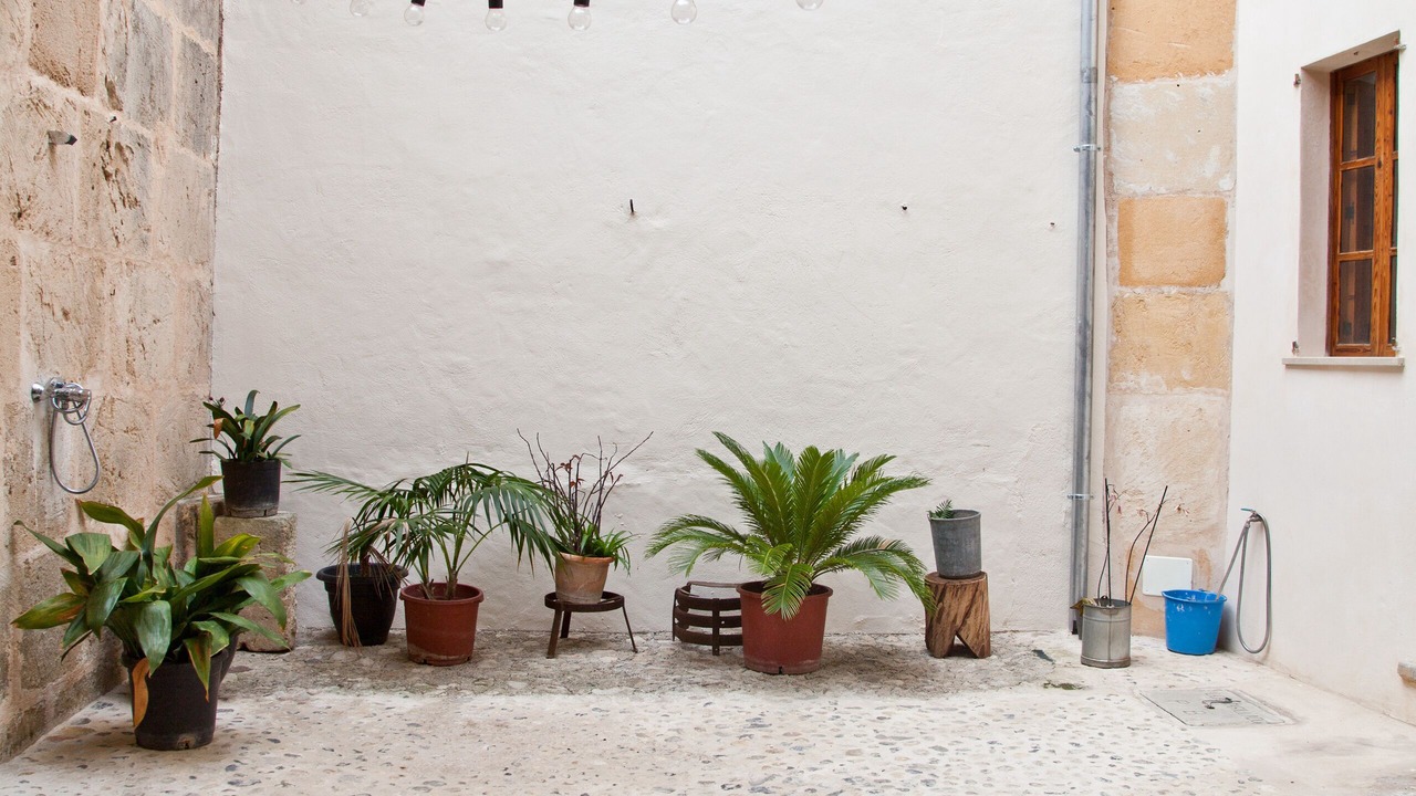 Photo of Outdoor in Sant Joan