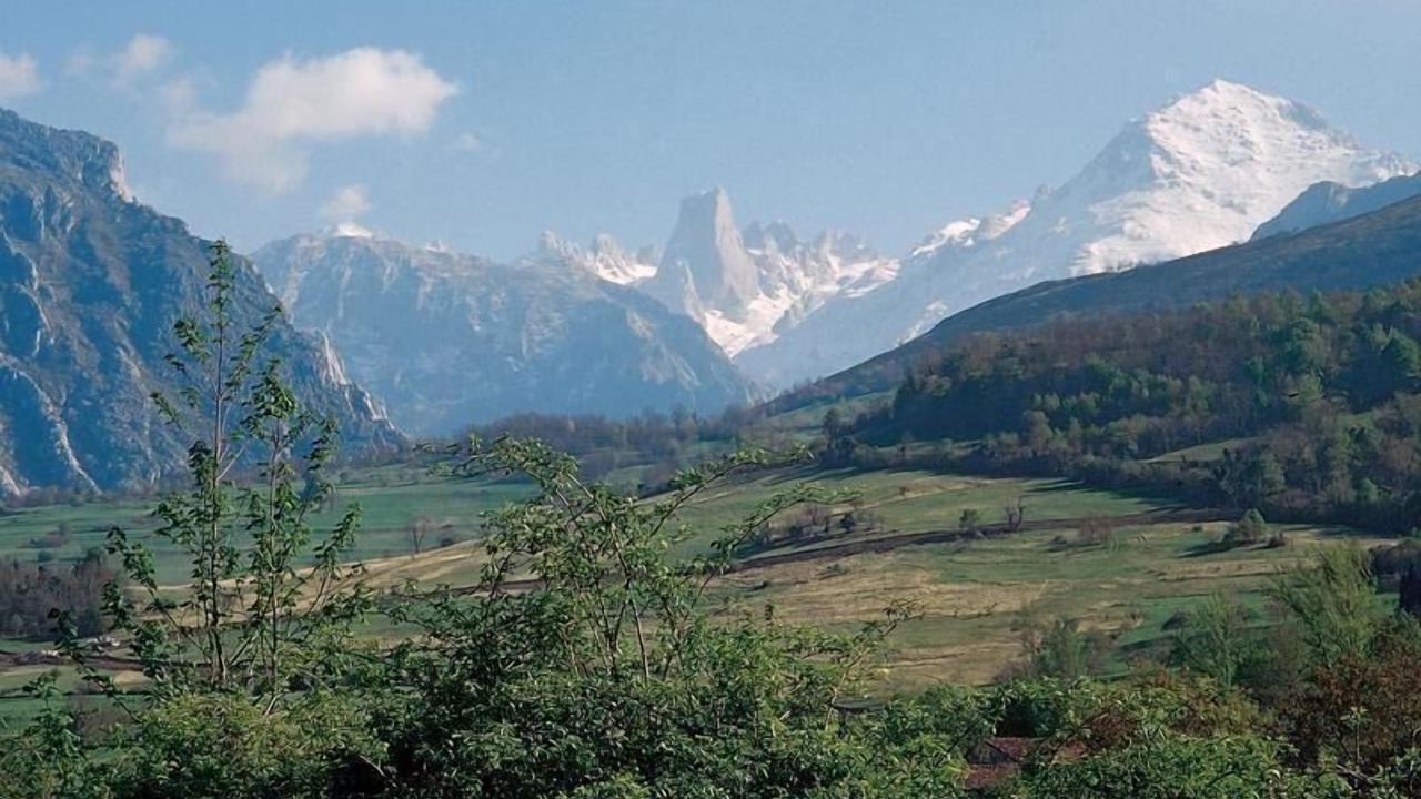 Photo of Others in Pruneda