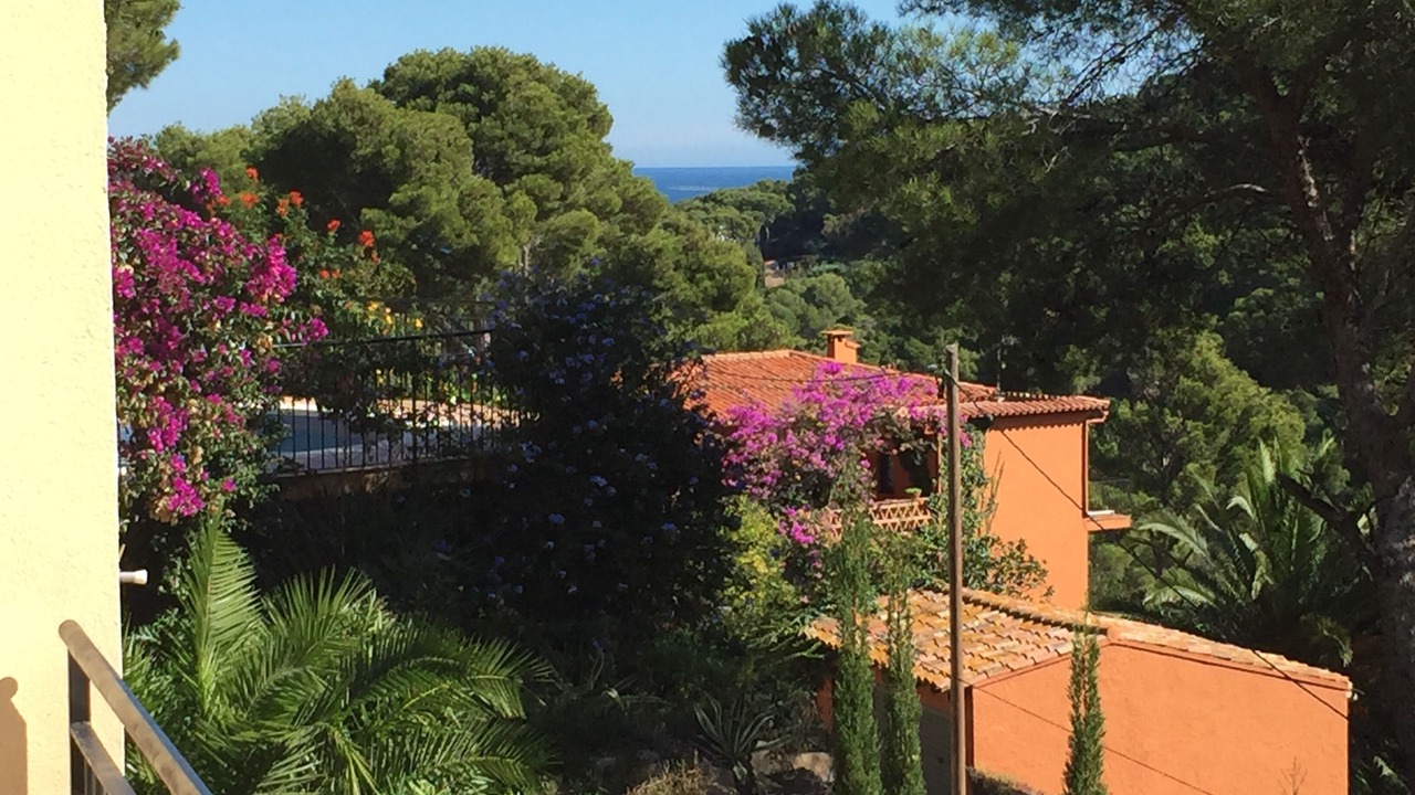 Photo of Outdoor in Sa Riera