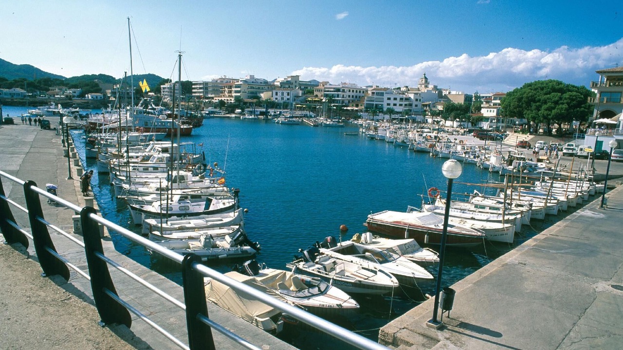 Photo of Others in Son Moll