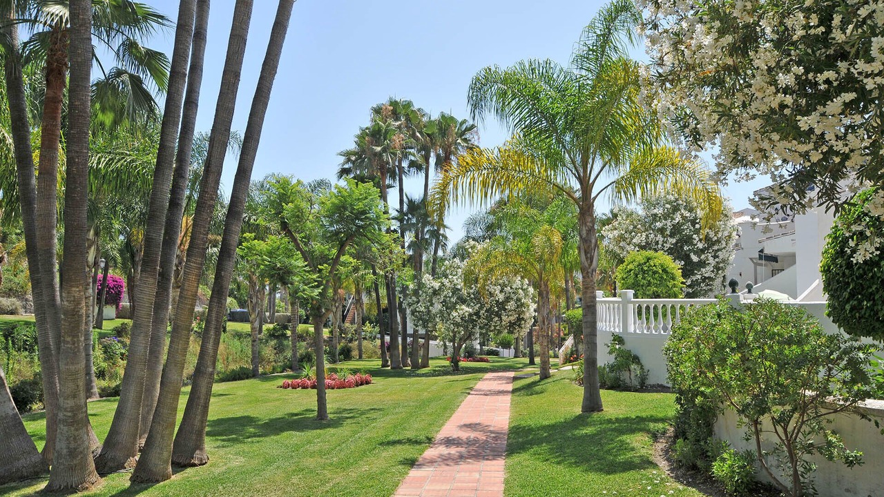 Photo of Outdoor in Oasis del Capistrano
