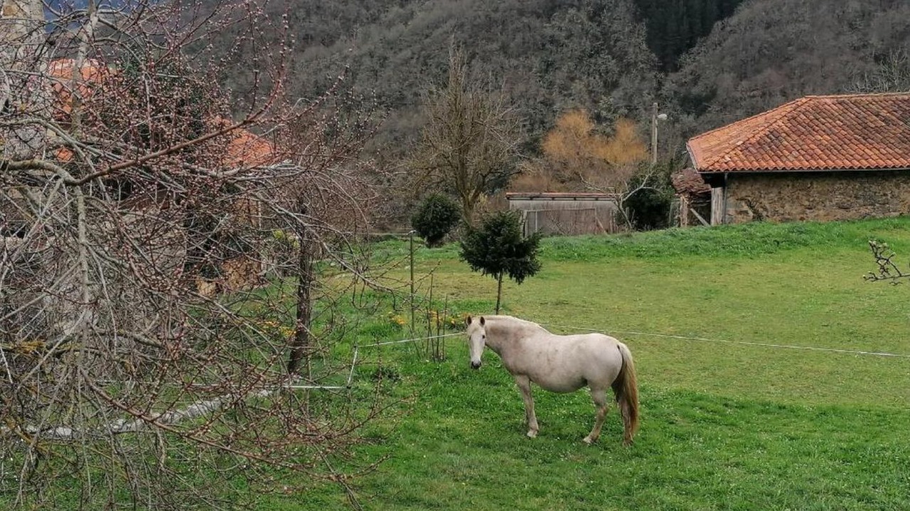 Photo of Outdoor in Cillorigo de Liebana