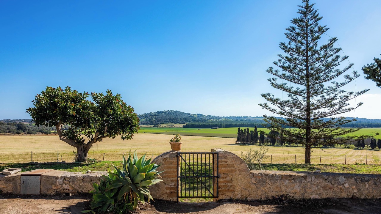 Photo of Outdoor in Manacor