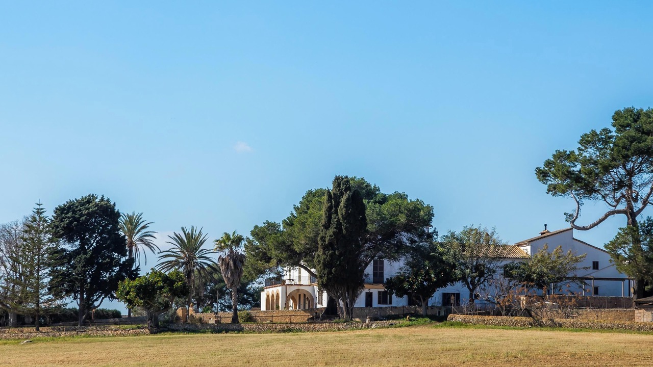 Photo of Outdoor in Manacor