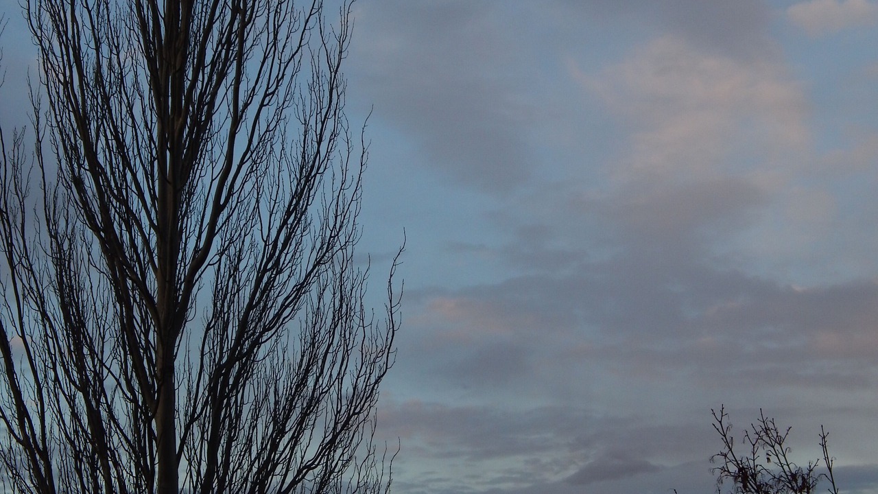 Photo of Outdoor in Hoyos del Espino