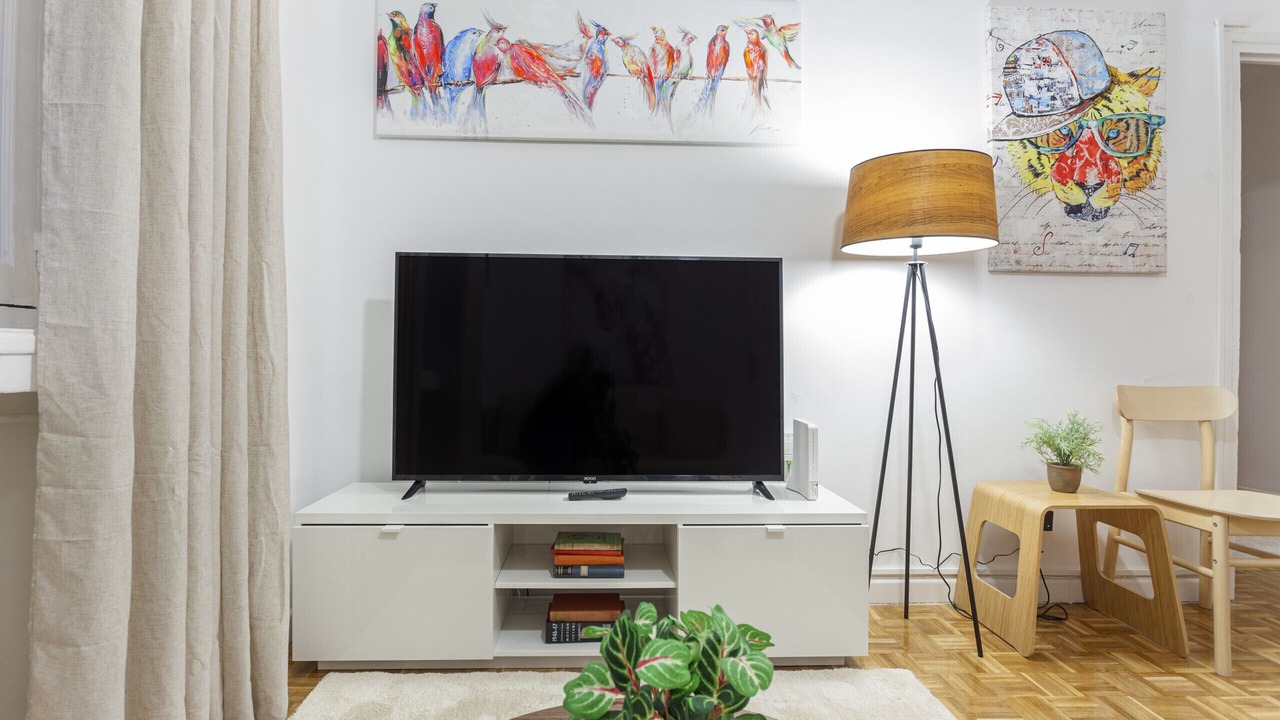 Photo of Livingroom in Embajadores