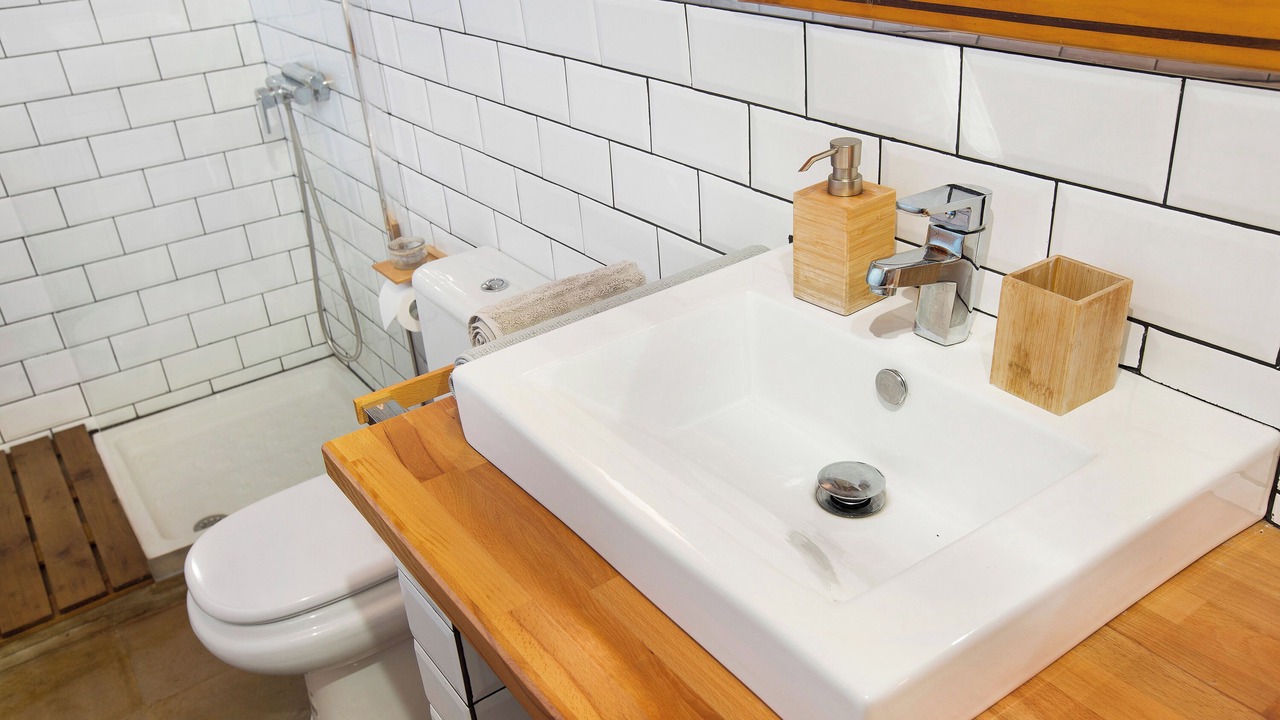 Photo of Bathroom in Vega de San Mateo