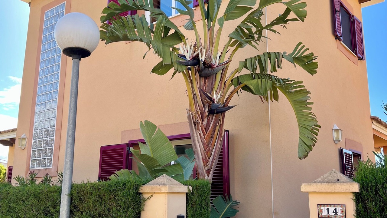 Photo of Outdoor in Cala Murada