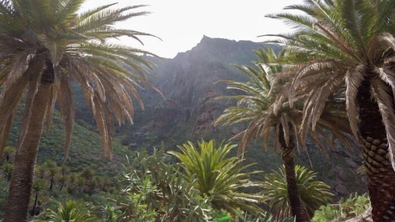 Photo of Outdoor in Lomo de Arico
