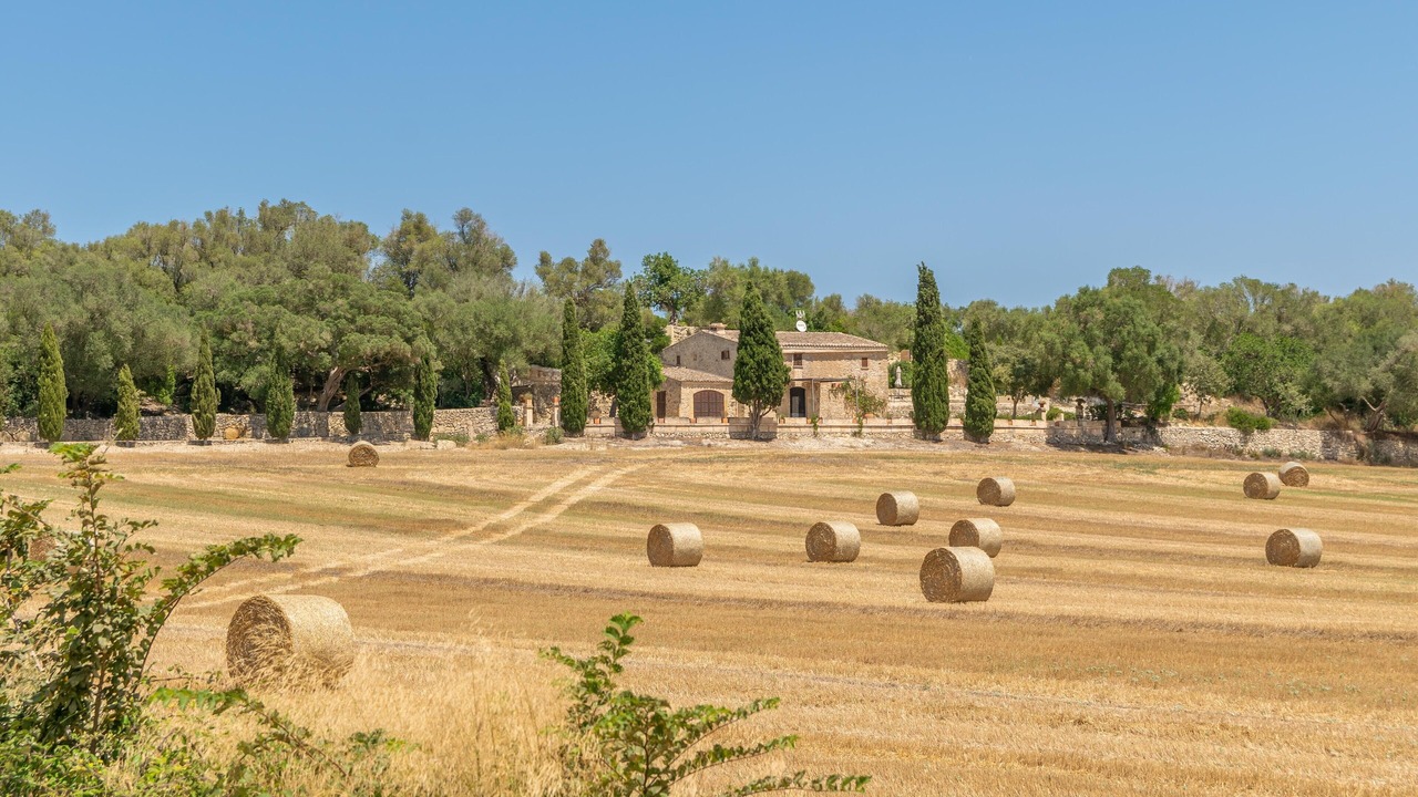 Photo of Others in Sant Joan