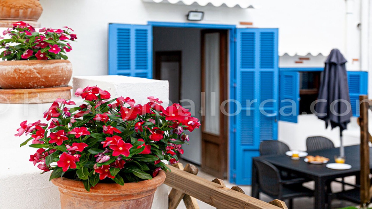 Photo of Outdoor in Can Picafort