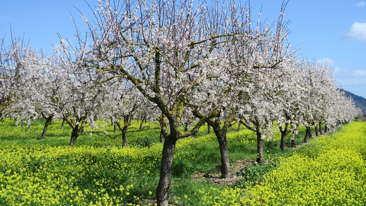 Photo of Outdoor in Randa