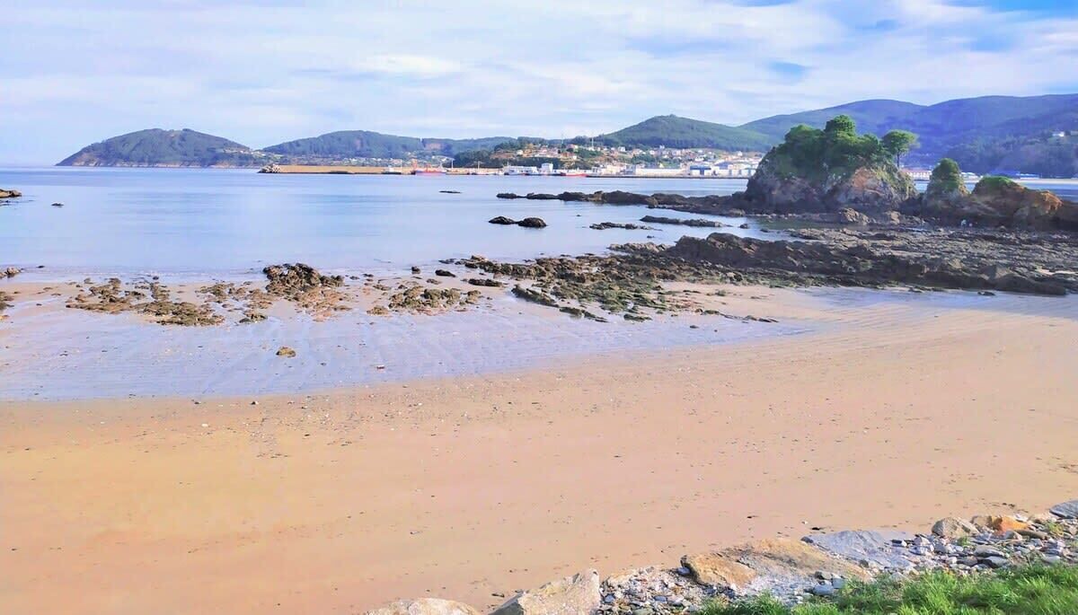 Photo of Others in Viveiro