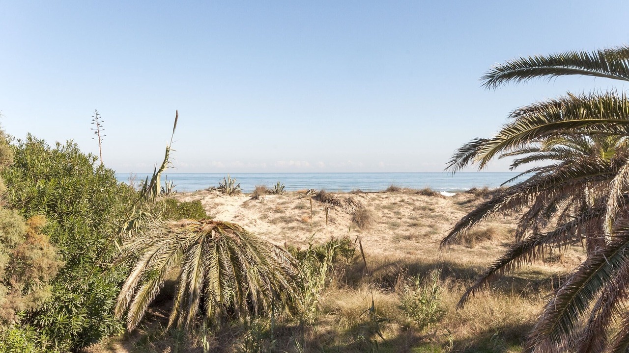 Photo of Others in Oliva