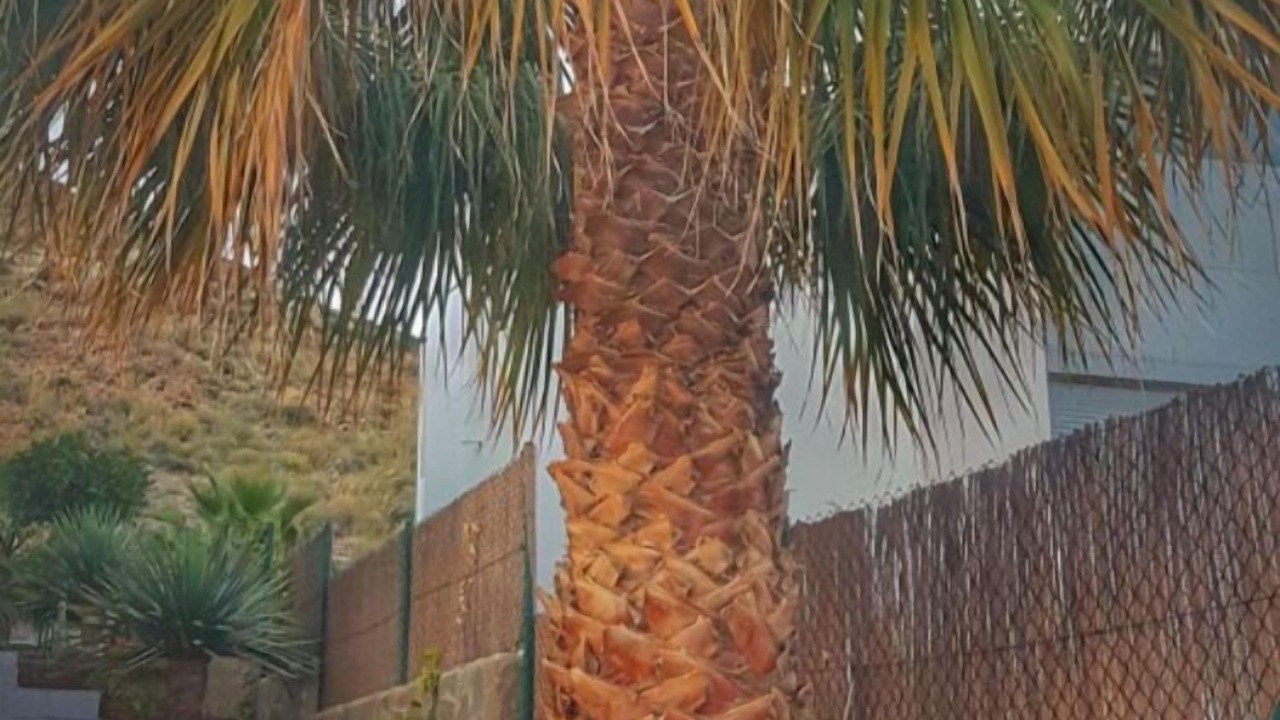 Photo of Outdoor in Las Negras