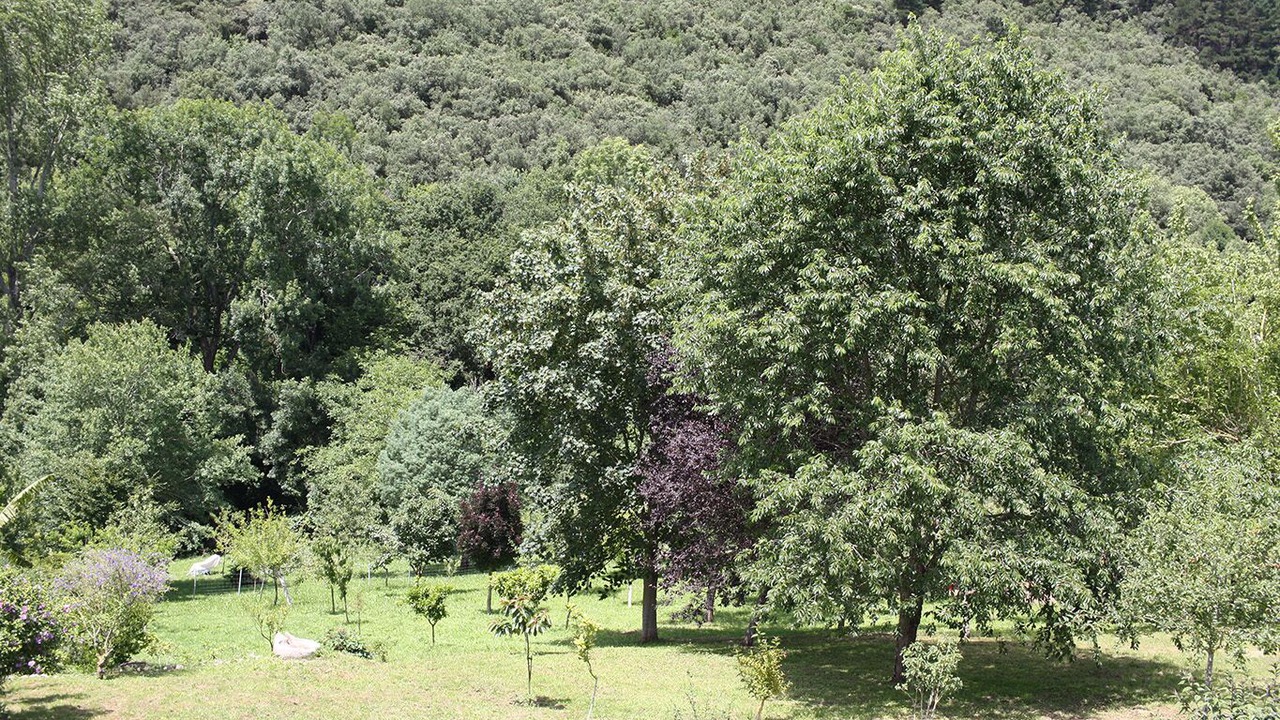 Photo of Others in Hoz de Marron